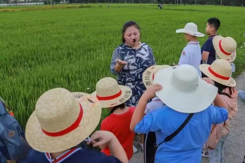 农业科普活动_科普农业活动有哪些_农业科普展示内容