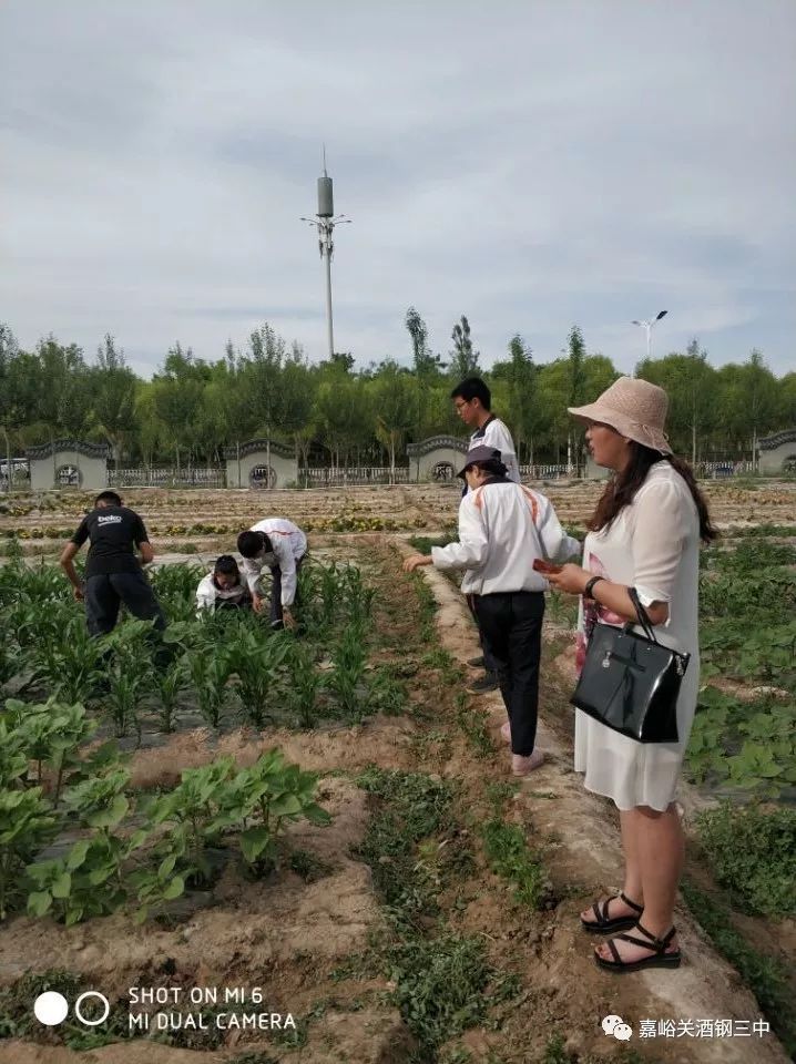 农业科普知识宣传_农业科普展示内容_农业科普动态